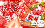 【2026年12月以降お届け】福岡産［冬］あまおう2パック_Fi010