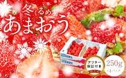 【2026年12月以降お届け】福岡産［冬］あまおう4パック_Fi011