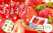 福岡産【春】あまおう4パック
