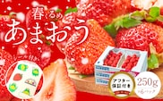 福岡産【春】あまおう6パック