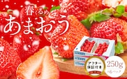 【2027年2月以降お届け】福岡産［春］あまおう6パック_Fi013