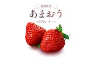 【2027年1月より順次発送】エコファーマー　あまおう　約300g×4パック　計1.2kg_Fi040