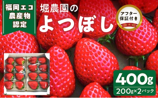 福岡県エコ農産物認定 堀農園のよつぼし400g_Fi073