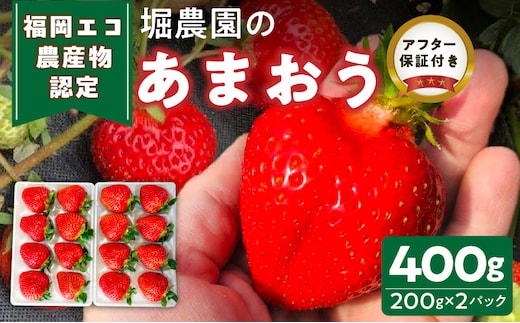 福岡県エコ農産物認定 堀農園のあまおう400g_Fi074