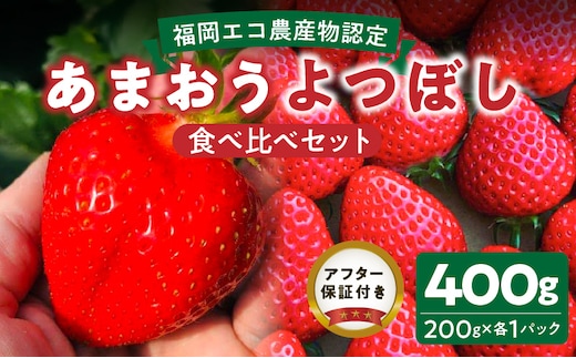 福岡県エコ農産物認定 堀農園のあまおう＆よつぼし食べ比べセット400ｇ(200g×2パック)_Fi075