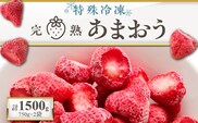 旬のおいしさそのまま！池田農園の特殊冷凍あまおう1.5kg