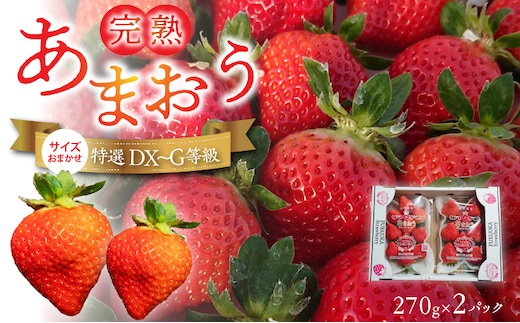 福岡県産【特別栽培】サイズおまかせ（DX～G等級）完熟あまおう 270g×2パック