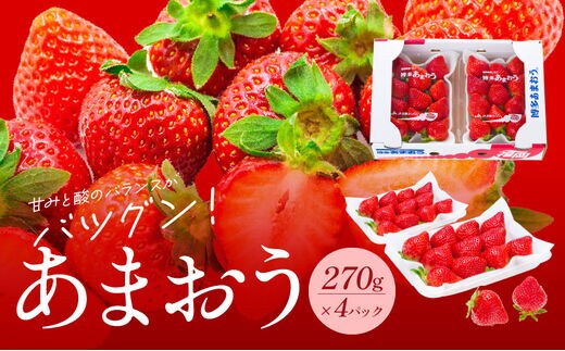 【2026年2月より順次発送】福岡県産あまおう 270g×4パック