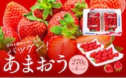 【2026年2月より順次発送】福岡県産あまおう　270g×4パック