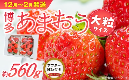 福岡県産あまおういちご 約280g以上×2パック（大粒）【12月〜2月発送】_Fi054