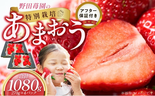 【2027年2月から順次発送】苺（あまおう）270g×2パック×2箱 _Fi076