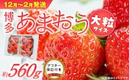 福岡県産あまおういちご　約280g以上×2パック（大粒）【12月〜2月発送】_Fi054