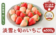 特別栽培 白いちご 淡雪と旬のいちご詰め合わせ紅白セット （ふくおかエコ農産物） 約500g