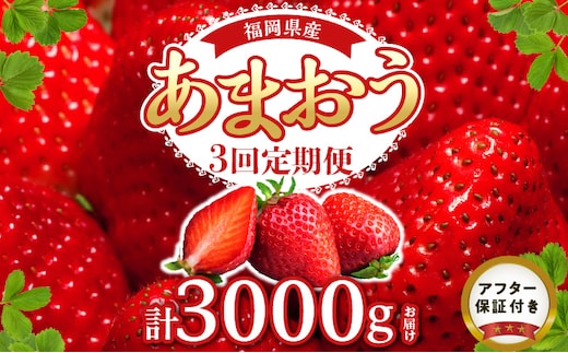 【2027年1月以降お届け】あまおう 約250g 4パック×3回 計12パック【定期便 3回】_Fi301