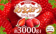 【2027年1月以降お届け】あまおう 約250g 4パック×3回 計12パック【定期便 3回】_Fi301