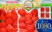 いちごの王様！【あまおうグランデサイズ】３玉～1５玉（４パック）１月から発送