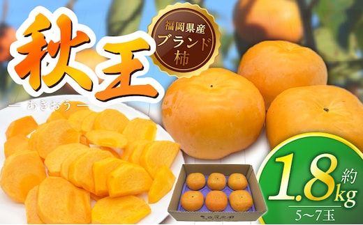【2026年11月より順次発送】福岡県ブランド柿 秋王 5-7玉 約1.8kg 池尻農園 _Fk113
