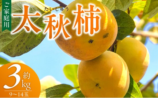 【訳あり品】【10月発送】池尻農園 太秋柿 9～14玉 約3kg ご家庭用_Fk016