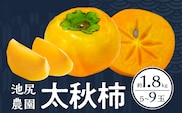 【10月発送】池尻農園　太秋柿　5玉～9玉　約1.8kg_Fk011