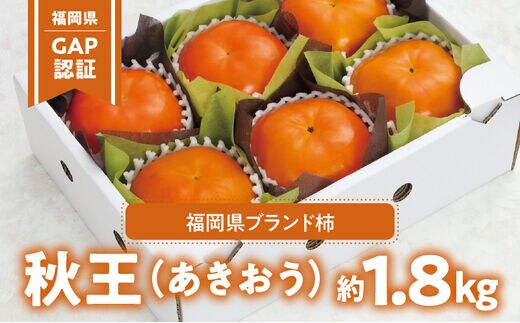 【2026年10月以降お届け】「福岡県GAP」認証！福岡県ブランド柿「秋王」_Fk104