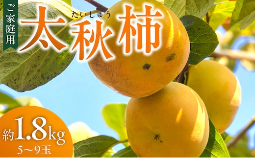 【訳あり品】【10月発送】池尻農園 太秋柿 5～9玉 約1.8kg ご家庭用_Fk015