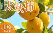 【訳あり品】【10月発送】池尻農園　太秋柿　5～9玉　約1.8kg　ご家庭用_Fk015