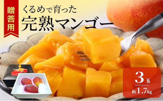【2027年6月以降お届け】くるめで育った完熟マンゴー（3玉：約1.7kg） _Fm010-03-17