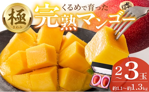 【2026年6月以降お届け】極 完熟マンゴー（2～3玉：約1.1～1.3kg） _Fm020