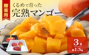 【2027年6月以降お届け】くるめで育った完熟マンゴー（3玉：約1.7kg） _Fm010-03-17