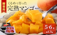 【2027年6月以降お届け】くるめで育った完熟マンゴー（5～6玉：約1.7kg） _Fm010-056
