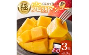 【2026年6月以降お届け】極　完熟マンゴー（3玉：約1.3kg）_Fm019