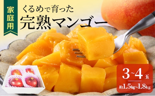 【2027年7月以降お届け】【家庭用】くるめで育った完熟マンゴー（3～4玉：約1.5～1.8kg）_Fm009-034