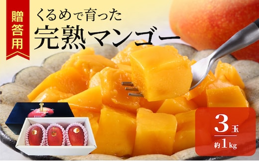 【2027年6月以降お届け】くるめで育った完熟マンゴー（3玉：約1kg）_Fm010-03-10