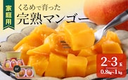 【2027年7月以降お届け】【家庭用】くるめで育った完熟マンゴー（2～3玉：約0.8～1kg）_Fm009-023