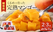 【2027年6月以降お届け】くるめで育った完熟マンゴー（2～3玉：約0.9kg～1kg）_Fm010-023-09