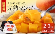 【2027年6月以降お届け】くるめで育った完熟マンゴー（2～3玉：約1.1kg～1.3kg）_Fm010-023-11