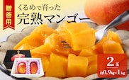 【2027年6月以降お届け】くるめで育った完熟マンゴー（2玉：約0.9～1kg）_Fm010-02-09
