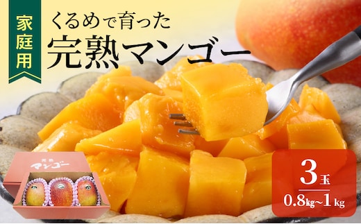 【2027年7月以降お届け】【家庭用】くるめで育った完熟マンゴー（3玉：約0.8～1kg）_Fm009-03