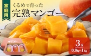 【2027年7月以降お届け】【家庭用】くるめで育った完熟マンゴー（3玉：約0.8～1kg）_Fm009-03