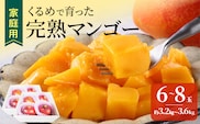 【2027年7月以降お届け】【家庭用】くるめで育った完熟マンゴー（6～8玉：約3.2～3.6kg）_Fm009-068