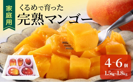 【2026年6月以降お届け】【家庭用】くるめで育った完熟マンゴー（4～6個：約1.5～1.8kg）_Fm008