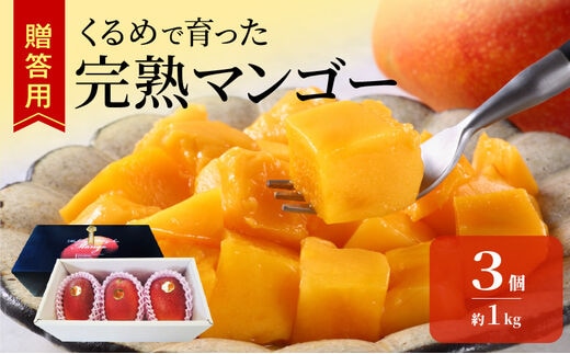 【2026年6月以降お届け】くるめで育った完熟マンゴー（3個：約1kg）_Fm013