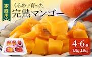 【2026年6月以降お届け】【家庭用】くるめで育った完熟マンゴー（4～6個：約1.5～1.8kg）_Fm008