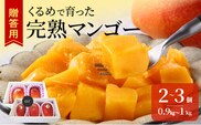 【2026年6月以降お届け】くるめで育った完熟マンゴー（2～3個：約0.9～1kg）_Fm010