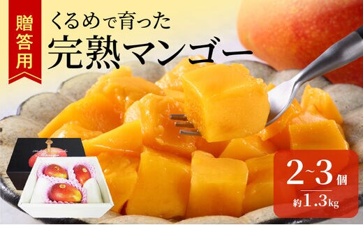 【2026年6月以降お届け】くるめで育った完熟マンゴー（2～3個：約1.3kg）_Fm011