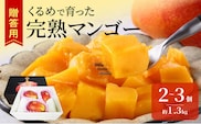 【2026年6月以降お届け】くるめで育った完熟マンゴー（2～3個：約1.3kg）_Fm011