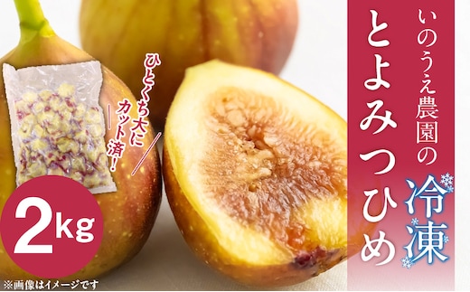 いのうえ農園の冷凍とよみつひめ2kg_Fx014