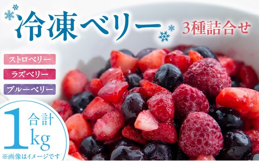 冷凍ベリー3種詰合せ（ストロベリー500g・ラズベリー250g・ブルーベリー250g）_Fx017