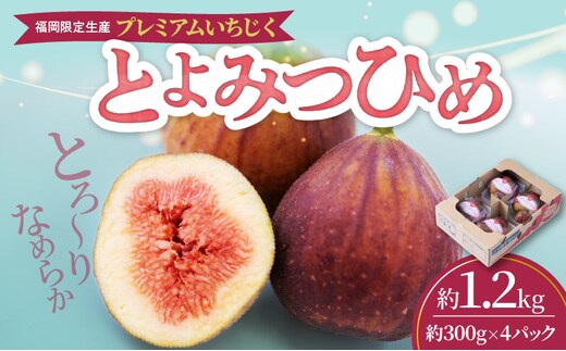 福岡県ブランドいちじく「とよみつひめ」約300g×4パック_Fx020
