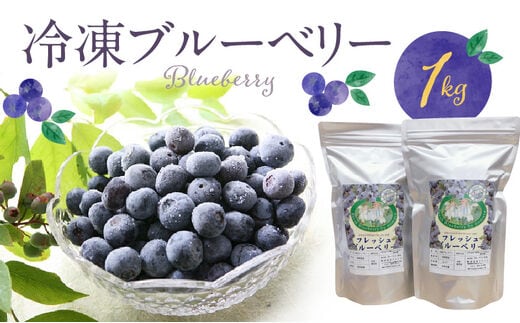 冷凍ブルーベリー 1kg